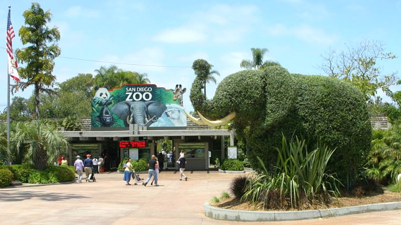 Limo Service San Diego Zoo