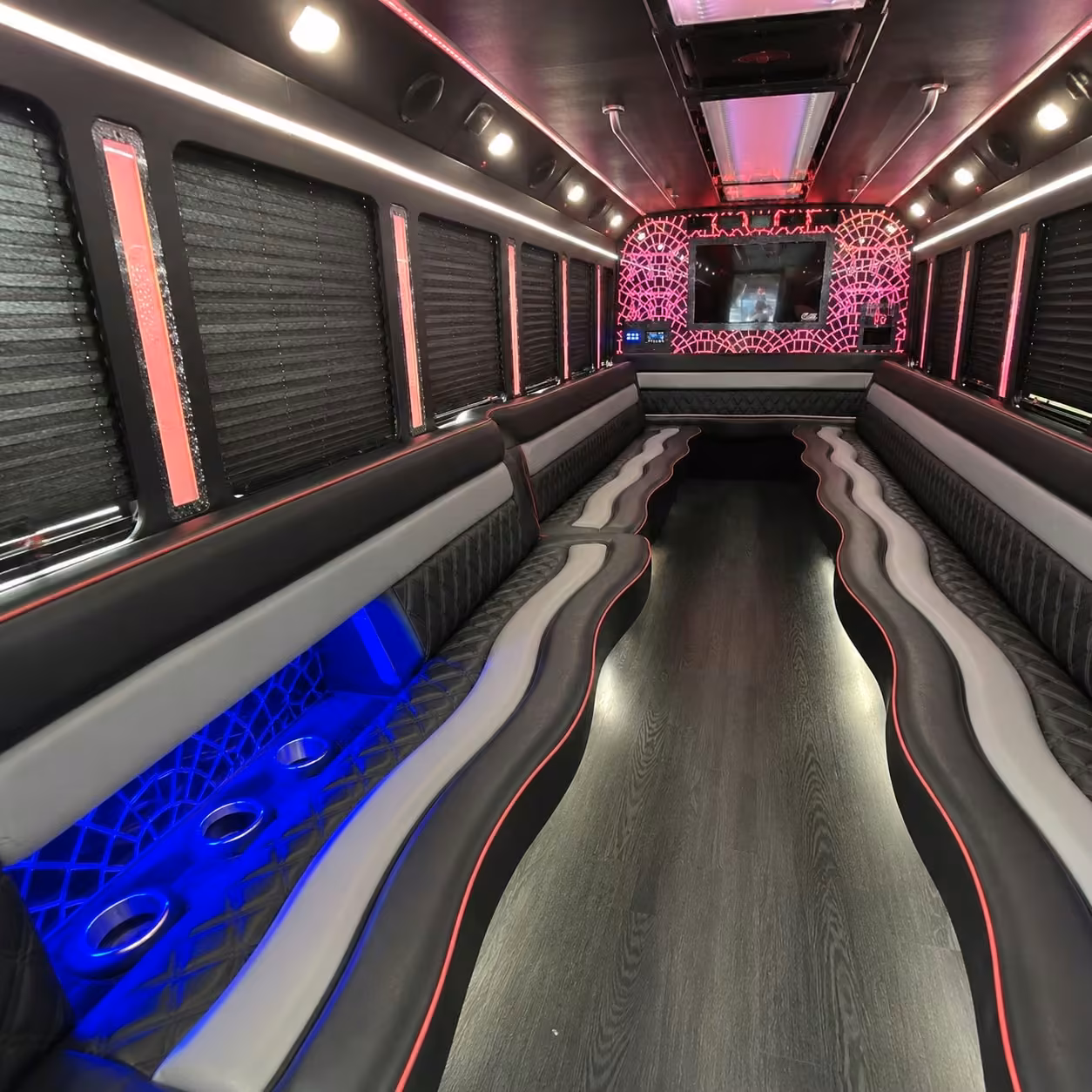 25 passenger party bus interior